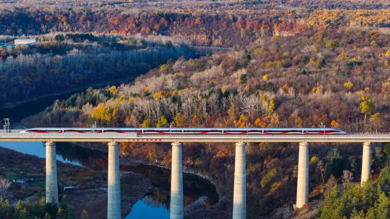 沈白高鐵正式開通運(yùn)營(yíng)。受訪方供圖