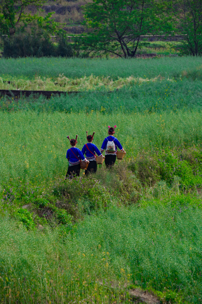 世外桃源春光好。網(wǎng)友“二流攝影師”攝